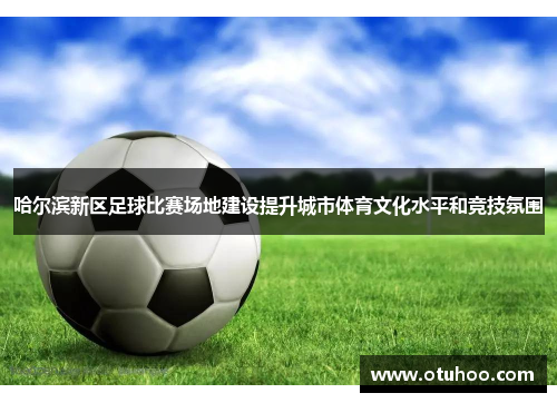 哈尔滨新区足球比赛场地建设提升城市体育文化水平和竞技氛围